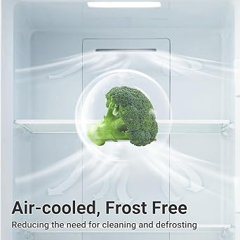 21 cu.ft Upright Freezer, Freezer Upright Frost Free Upright Freezers with LED Display,Stainless Steel Convertible Refrigerator Freezer for Garage,Kitchen Use