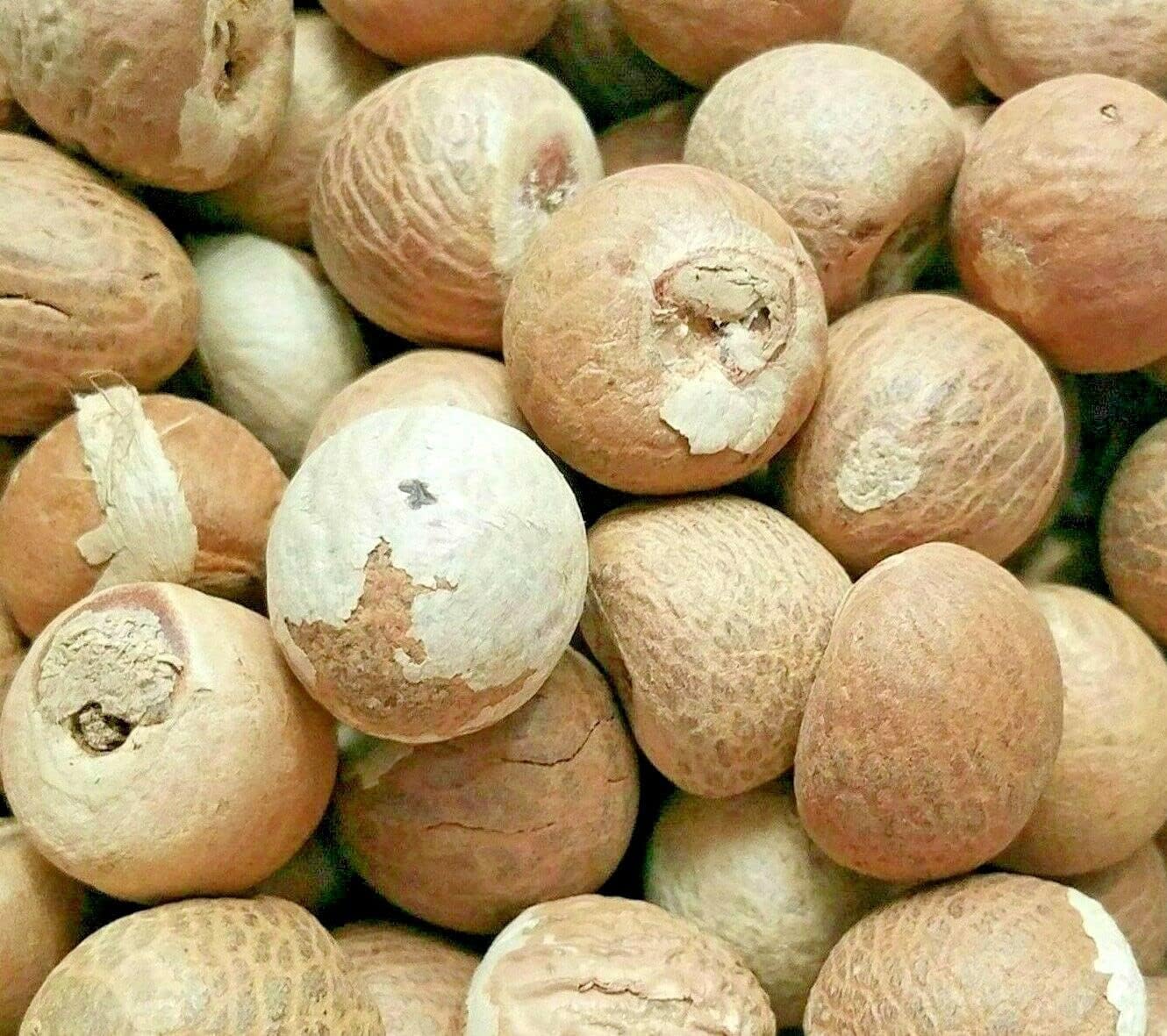 ZM Betel Nuts,(Vakkalu) Kotta Pakku Aracut Adike/Areca Catechu/paaku/atekka/puga/kramukamu/adike/gua/hopari - 250g