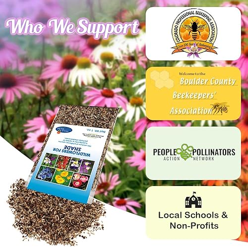 Miniatura 6 de Semillas de flores silvestres a granel de sombra parcial, paquete de mezcla de semillas de flores silvestres polinizadas abiertas, sin rellenos,