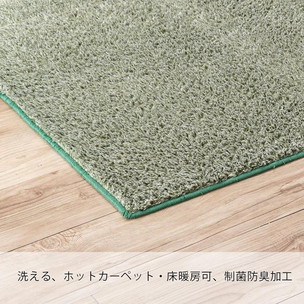 Amazon｜カインズ(CAINZ) 洗えるシャギーラグ 幅190cm 奥行240cm