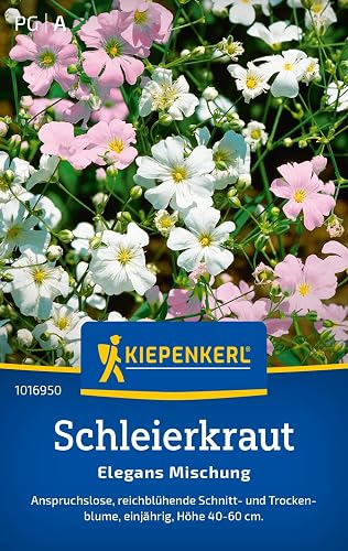 Kiepenkerl Schleierkrautsamen Elegans Mischung 1016950 - anspruchslose, reichblü