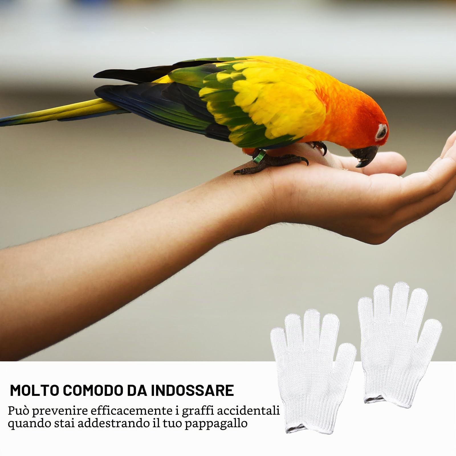 NCONCO 1 paio di guanti anti-morso per pappagalli, guanti da addestramento per uccelli, piccoli animali da maneggiare guanti in filo metallico e guanti protettivi in filo di acciaio da masticare