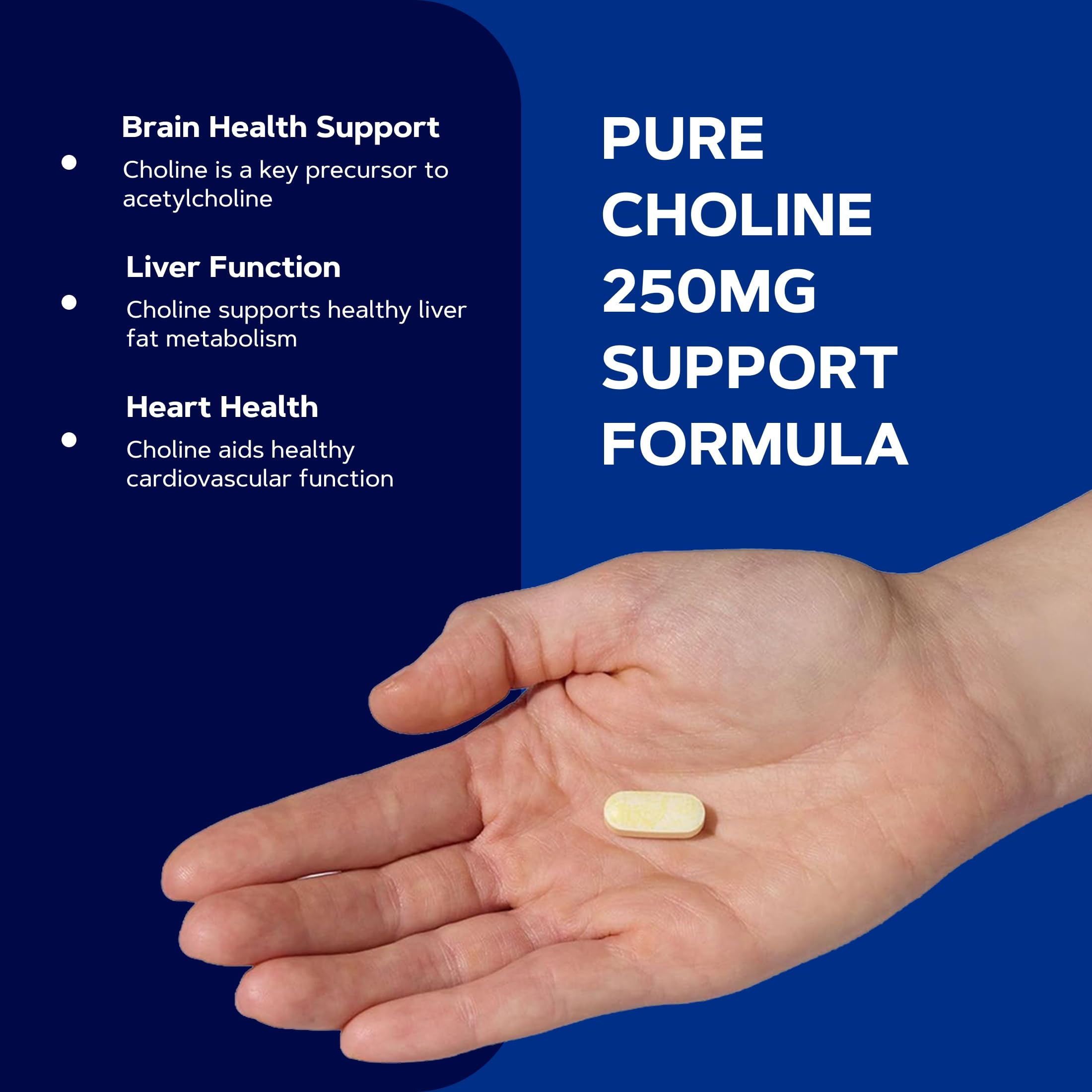 GNC Choline 250mg, Supports Brain, Liver, Cardiovascular Health, 100 Count — Amazon image 4
