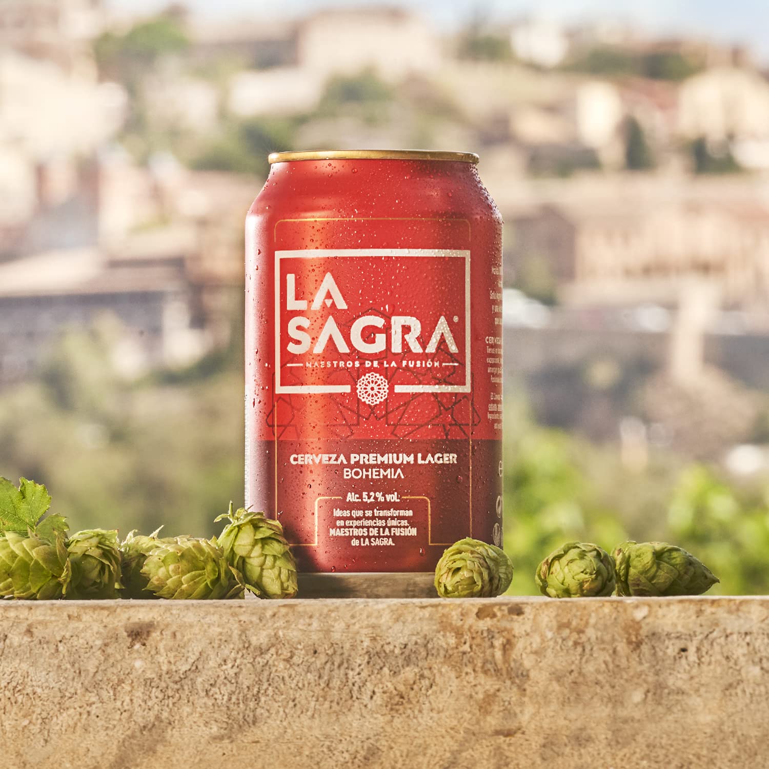 La Sagra - Cerveza Lager estilo Pilsner - Alc. 5,2% Vol. - Caja de 24 latas de 330 ml - Total: 7920 ml (Paquete de 5)