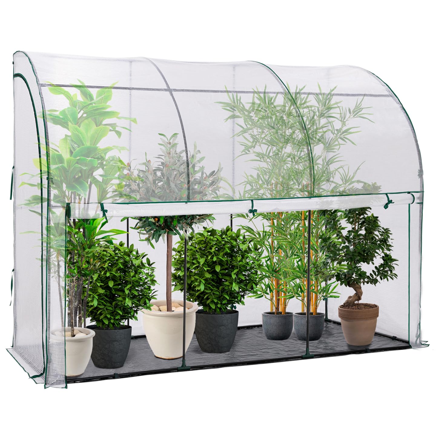 IDMarket - Serra Invernale A Parete Con Apertura Frontale 100 X - Foto 11