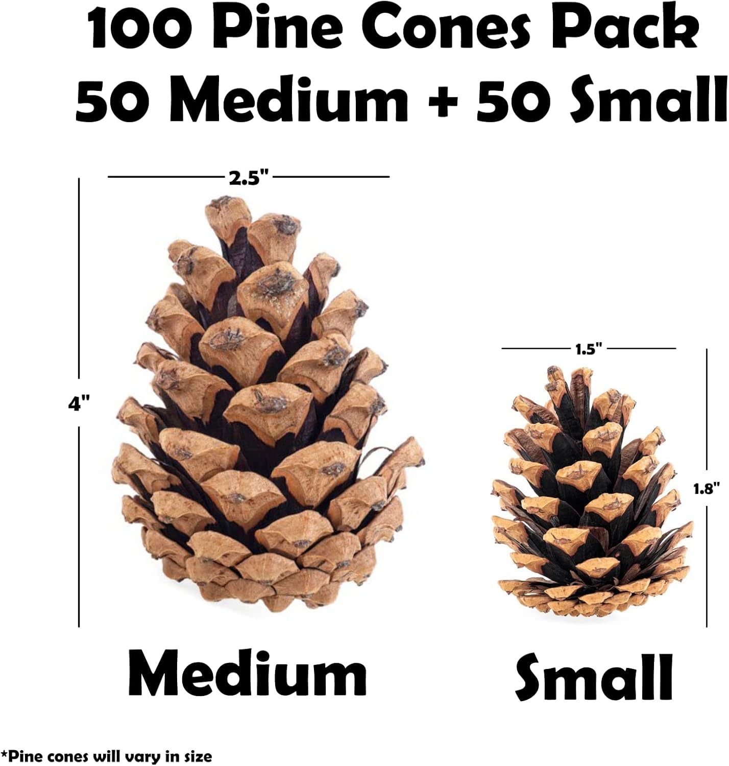 100 Mix Size Natural Pine Cones for Decorating - 50 Medium & 50 Small Pinecones for Crafts, Home Decor, Vase Fillers & Christmas Trees - Unscented Pinecone Decor for Home by Billy Buckskin