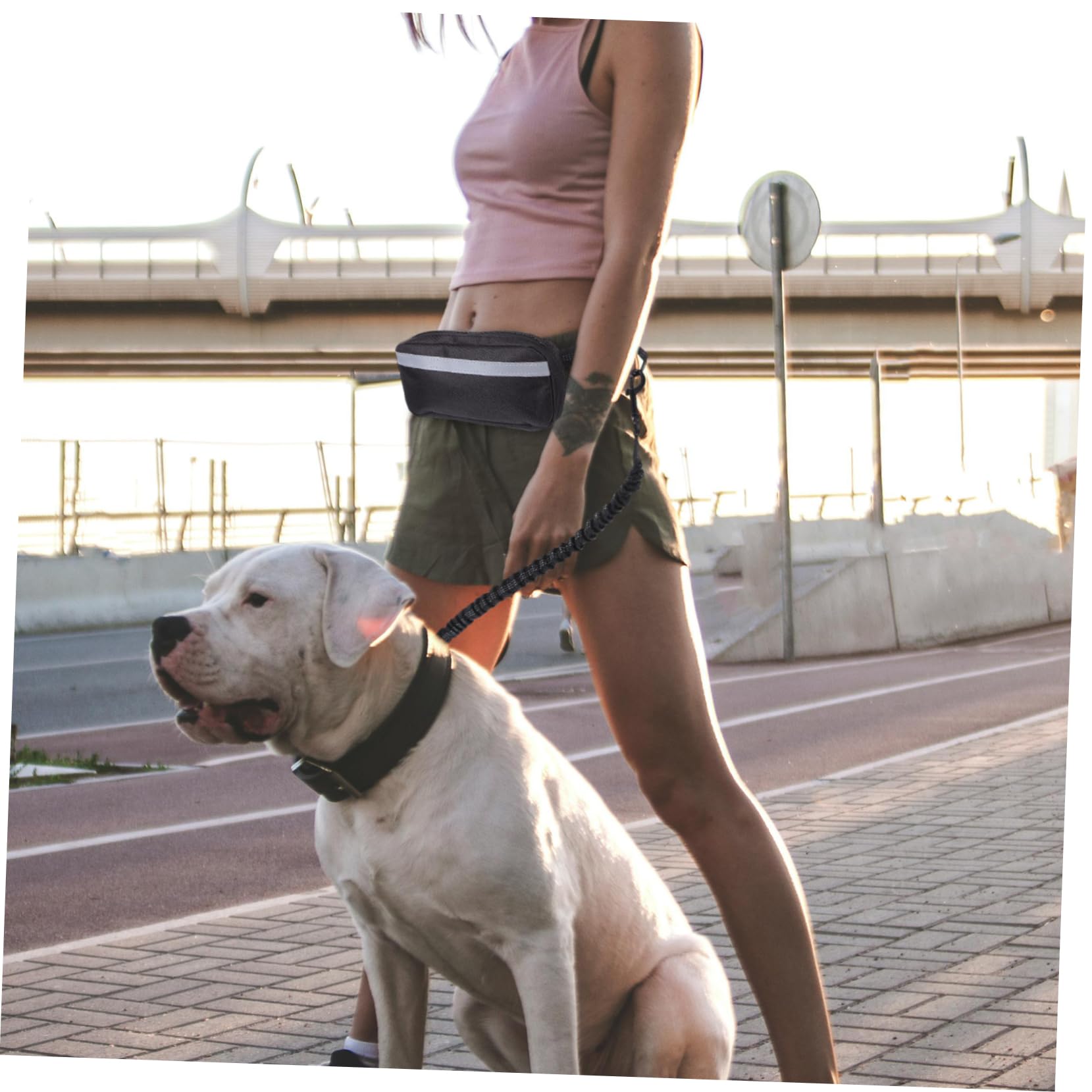 Hundejogging Hüftgurt mit Bungee Leine, 1 Satz aus Polyester, Schwarz | Stoßdämpfende Ausführung, mit Hüfttasche, für Outdoor Aktivitäten und Parkstrolls