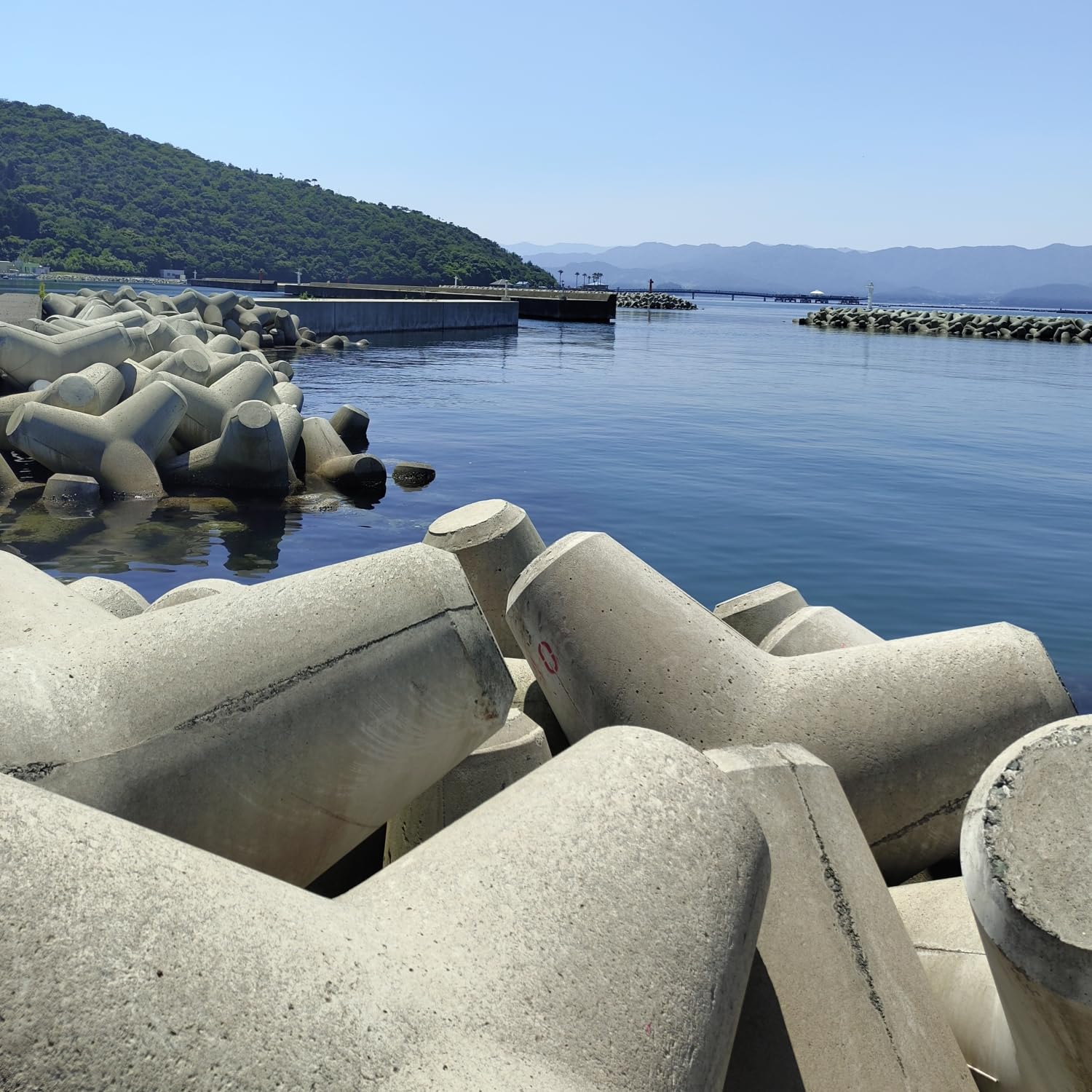 Amazon.co.jp: テトラ ミニチュア Mサイズ5個入り 手作り 日本製