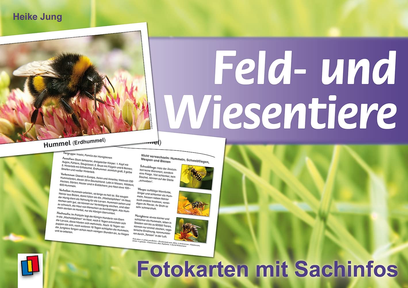 Feld und Wiesentiere Fotokarten mit Sachinfos Jung, Heike Amazon