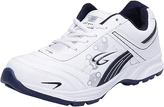 aero fax shoes price