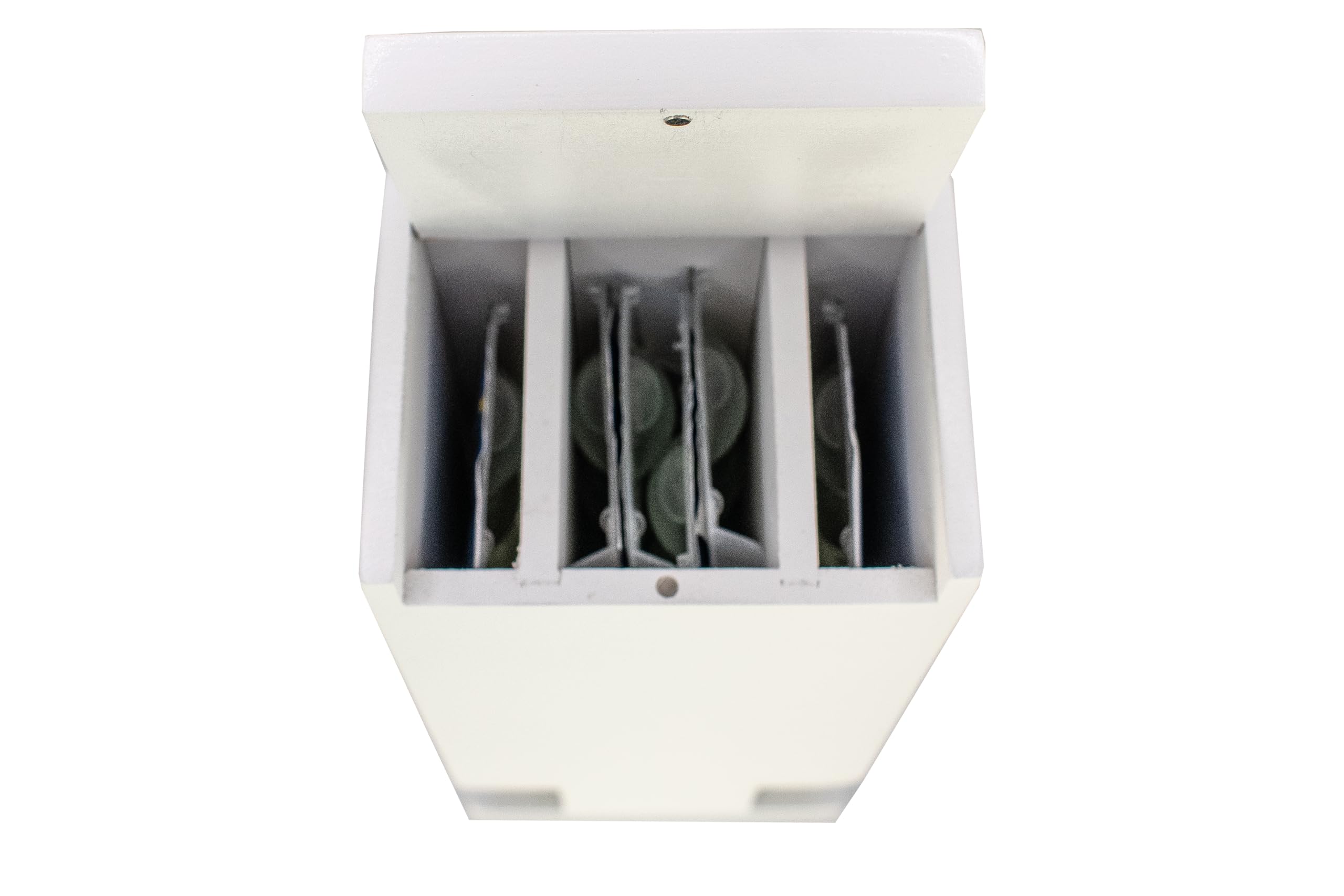 Mini organizer giornaliero per lenti a contatto, dispenser e stoccaggio, custodia da viaggio per lenti a contatto, universale per tutte le marche DailyLens (bambù bianco) - Organizer per uso