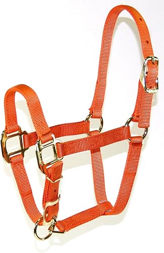 Miniatura 4 de Hamilton Caballo ajustable de calidad 34, poni, verde oscuro