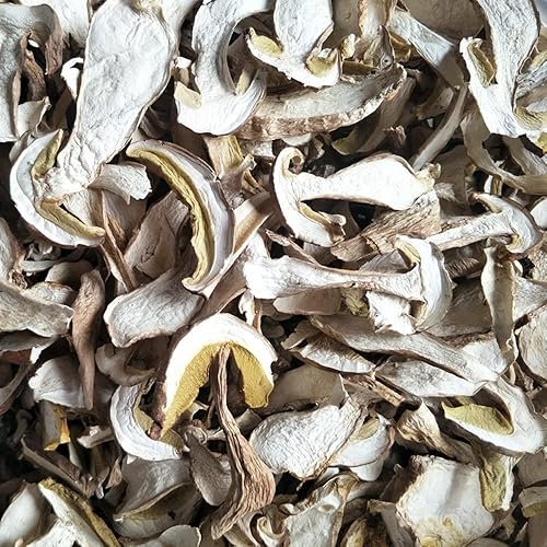 Miniatura 2 de Boletus, cep, Boletus Luridus, Boletus Reticulatus, Boletus Taianus, Boletus Sylvestris, Boletus natural, Boletus Venturii, niuganjun, hongo seco