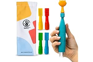 GAFLY Therapen: Revolutionize Oral Therapy and Sensory Exploration