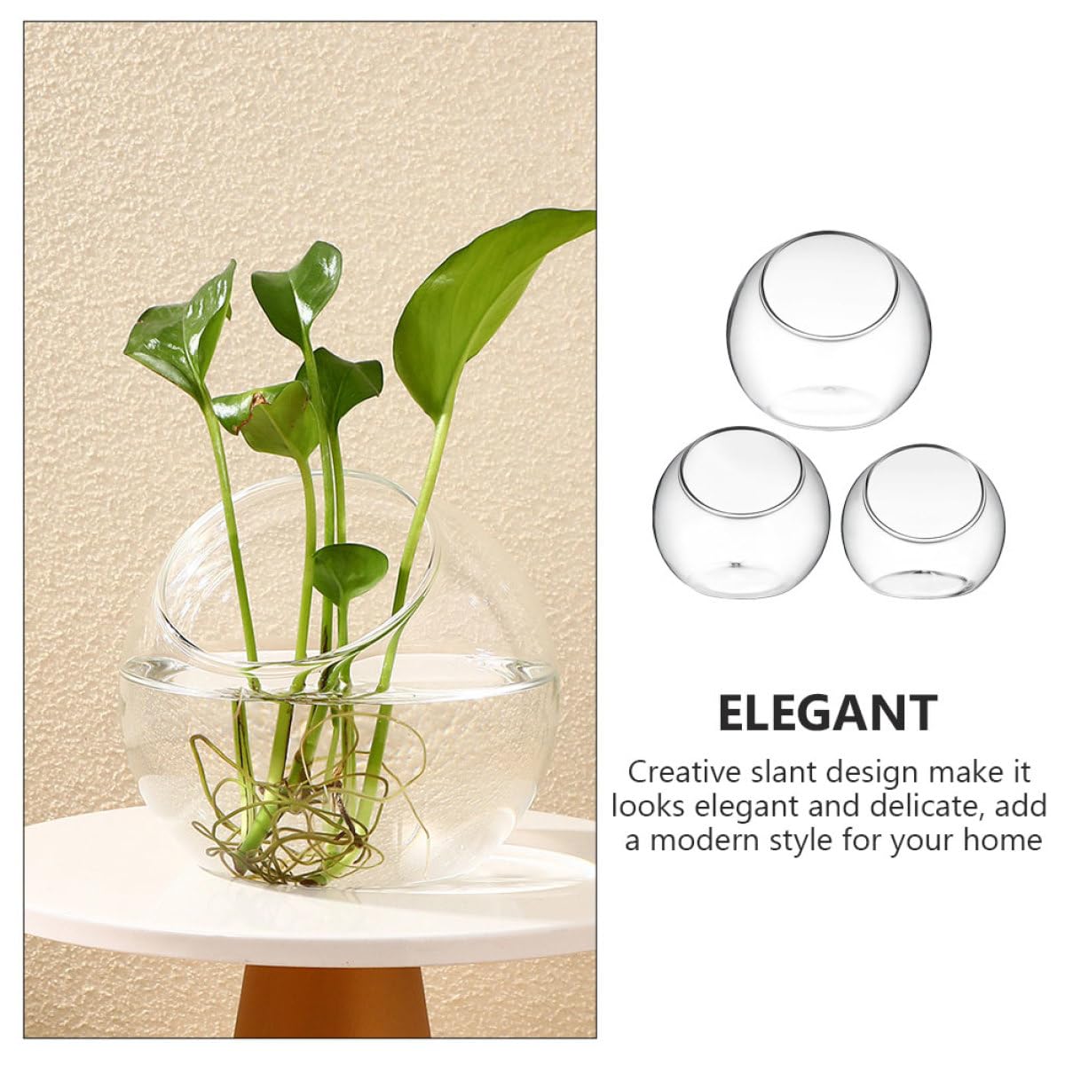 INOOMP Set da 3 Terrari in per Piante Grasse e Bromelie, Design Moderno Inclinato, Apertura Facile senza Bave, per Decorazioni Casa e Regali