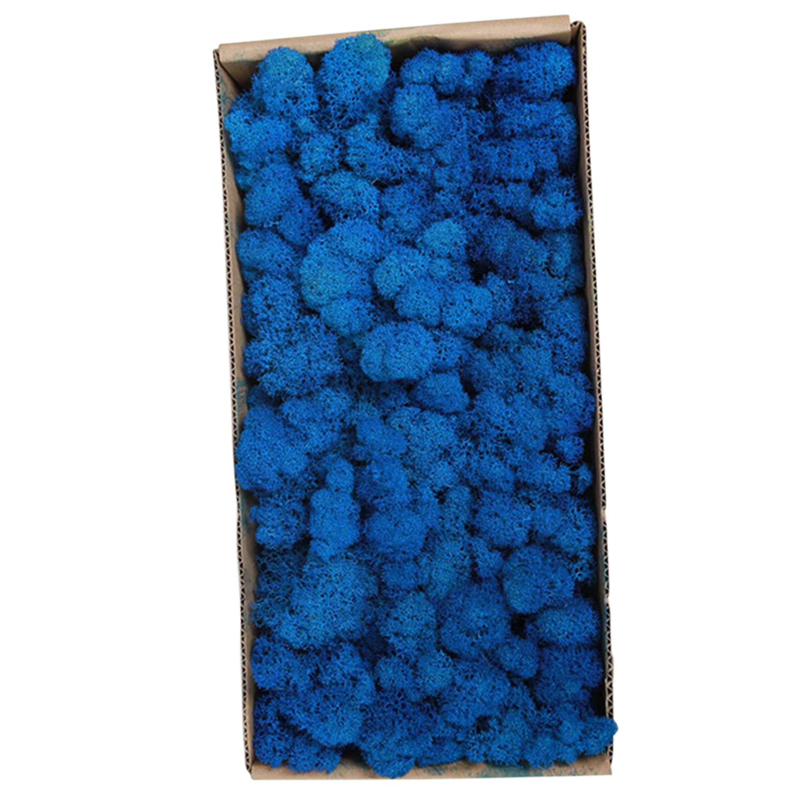 Preserved Moss, Preserved Moss Wall Decor Real Preserved Moss No Maintenance Required Naturally Preserved Moss for Home Wall Party Festivals Crafts Indoor Office Decoration