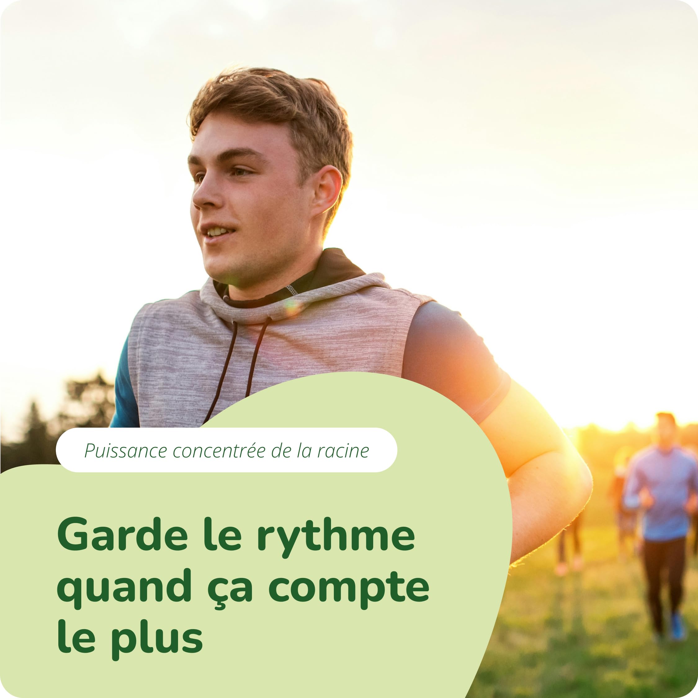 PANAX GINSENG Rouge + Coréen | 120 Gélules | Extra Fort : 4800 mg/j | Anti Stress + Concentration + Énergie Booster | 20% de Ginsenosides | SANS ADDITIFS & VEGAN | Vegavero®