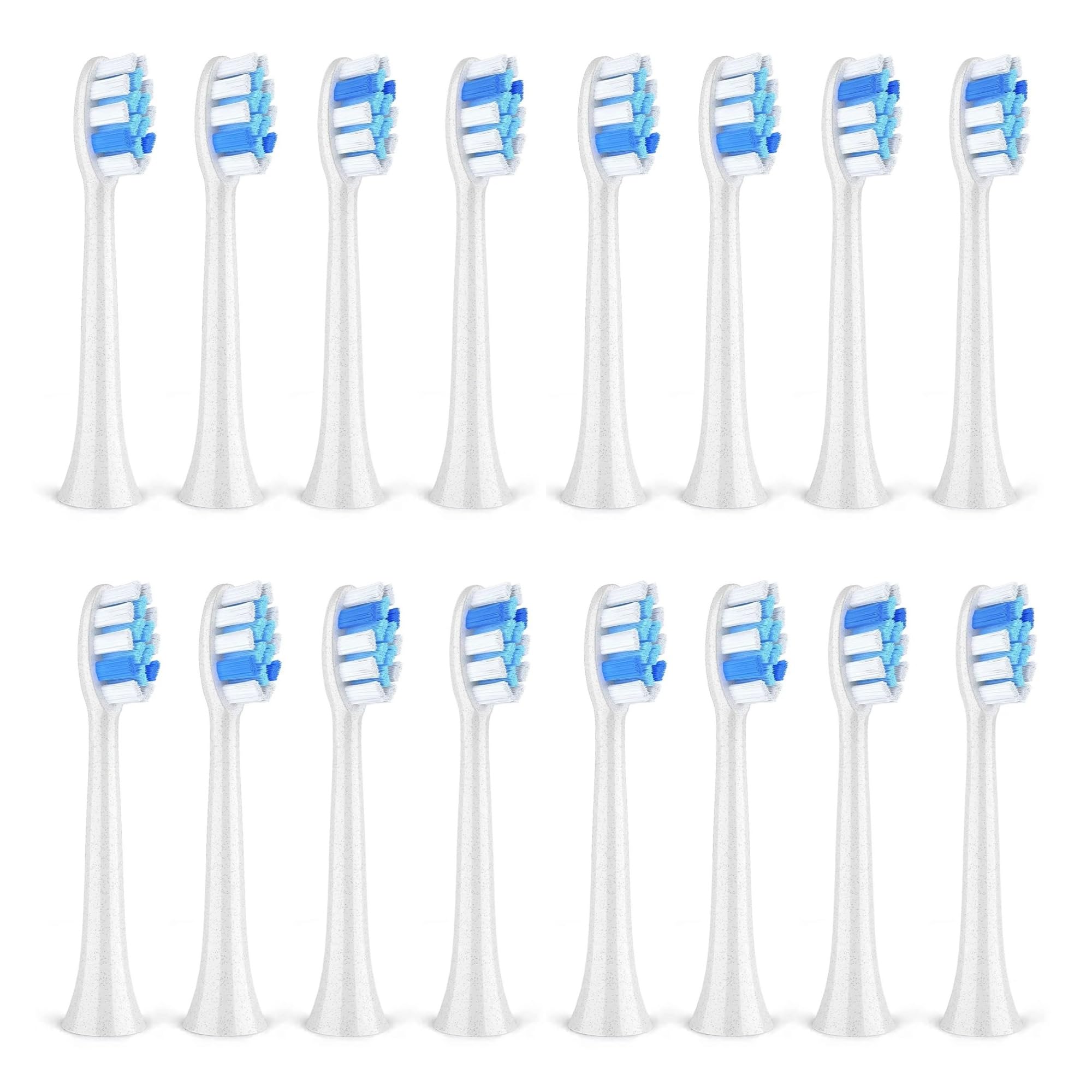 Testine, Compatibili Con P11 T9 P80
