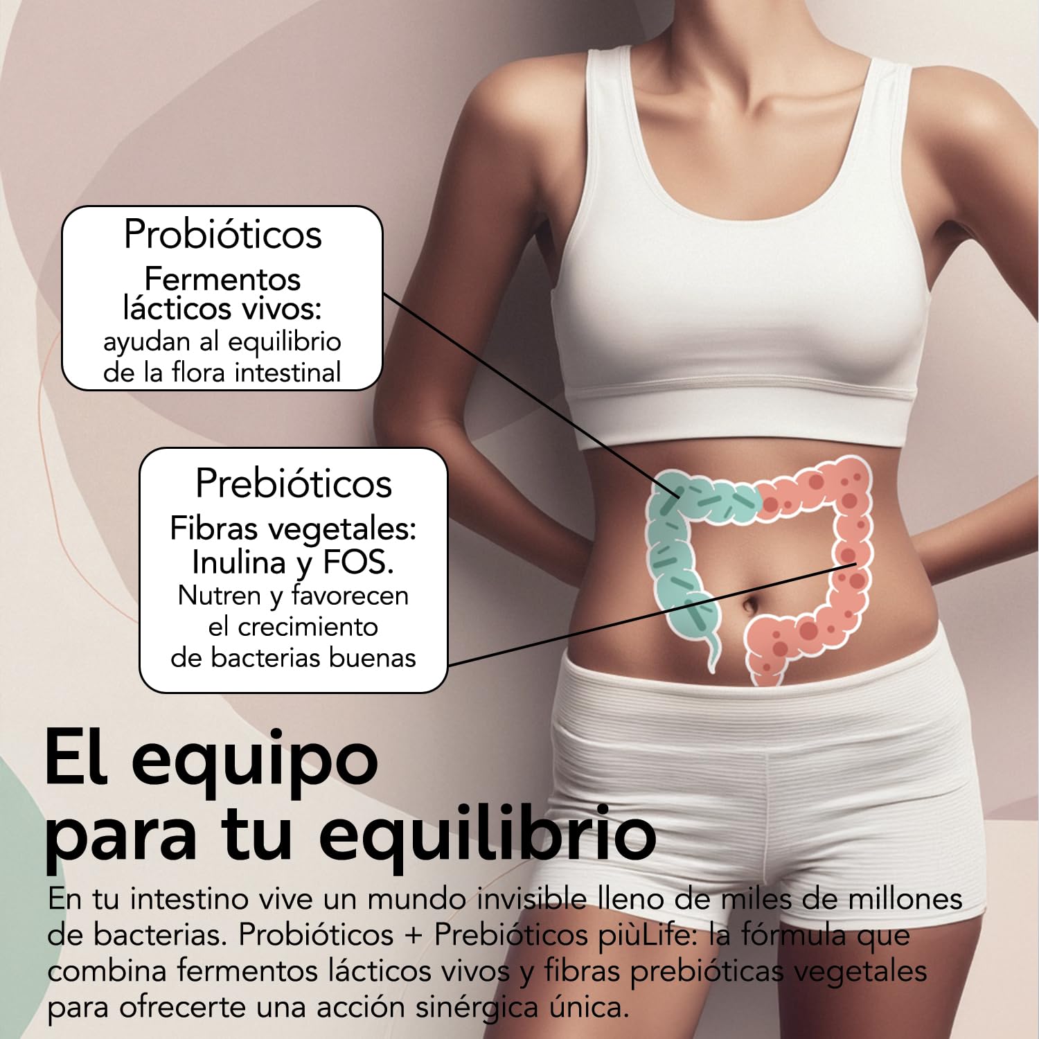 Probioticos Y Prebioticos Intestinales PiùLife, 240 Cápsulas