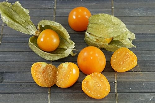 Miniatura 5 de Semillas de cereza molida (grosella espinosa del cabo, baya dorada) Naranja Physalis vegetal para plantar sin OMG