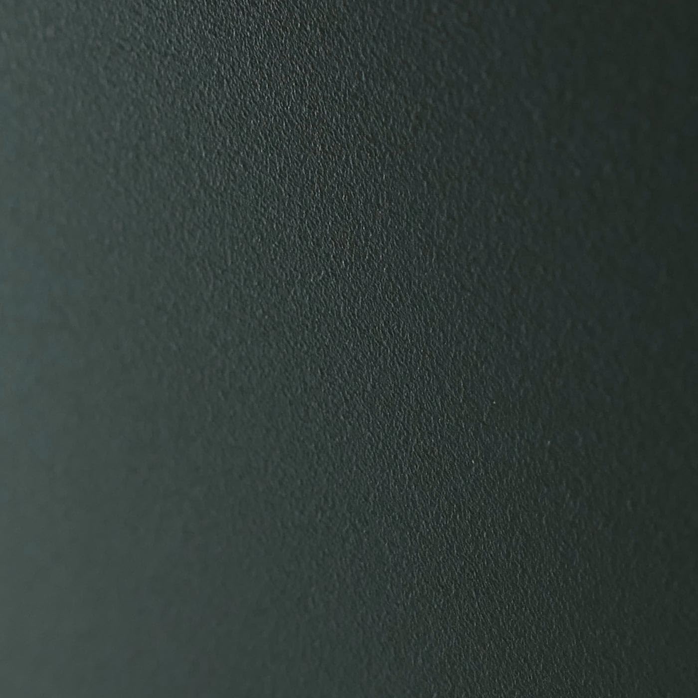 Legnaia HWC-P76, scaffale per legna da camino/da ardere deposito riparo outdoor esterno Metallo 160x95x50cm - verde