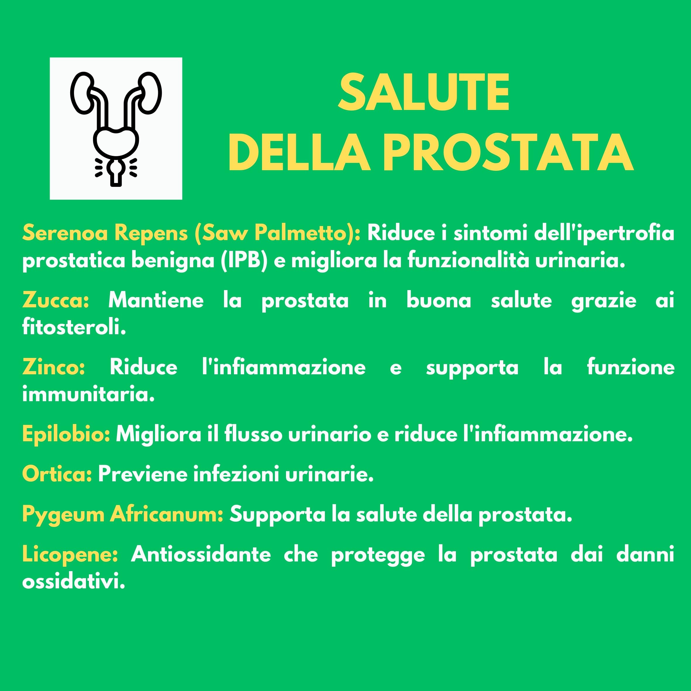 SERENOA REPENS Saw Palmetto 320MG | 90 Capsule (Fino a 3 Mesi di Fornitura) | Integratore Prostata e Capelli Uomo anti DHT | Con Licopene, Pygeum Africanum, Zucca, Ortica, Zinco, Biotina e Vitamina E
