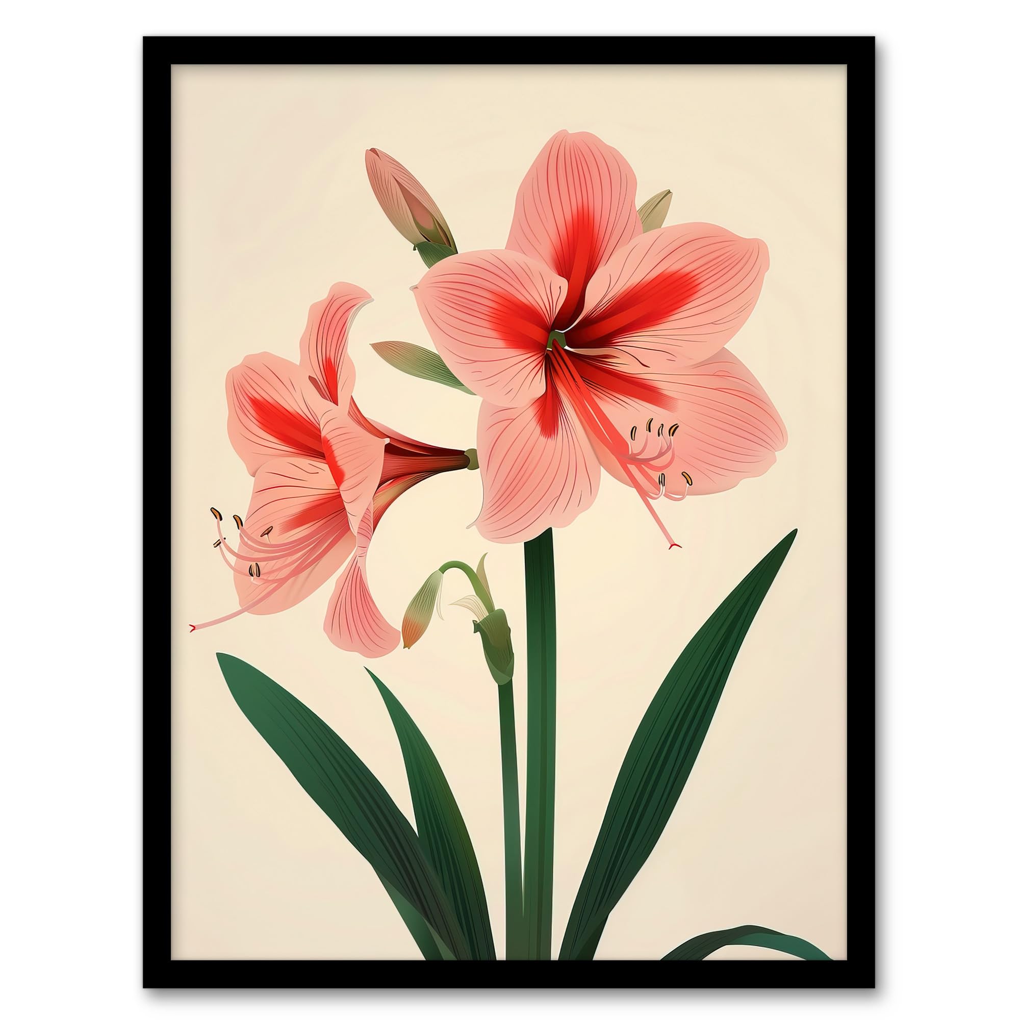 Artery8 Amaryllis Flower Bloom Stylised Botanical Design Living Room Artwork Framed Wall Art Print 18X24 Inch