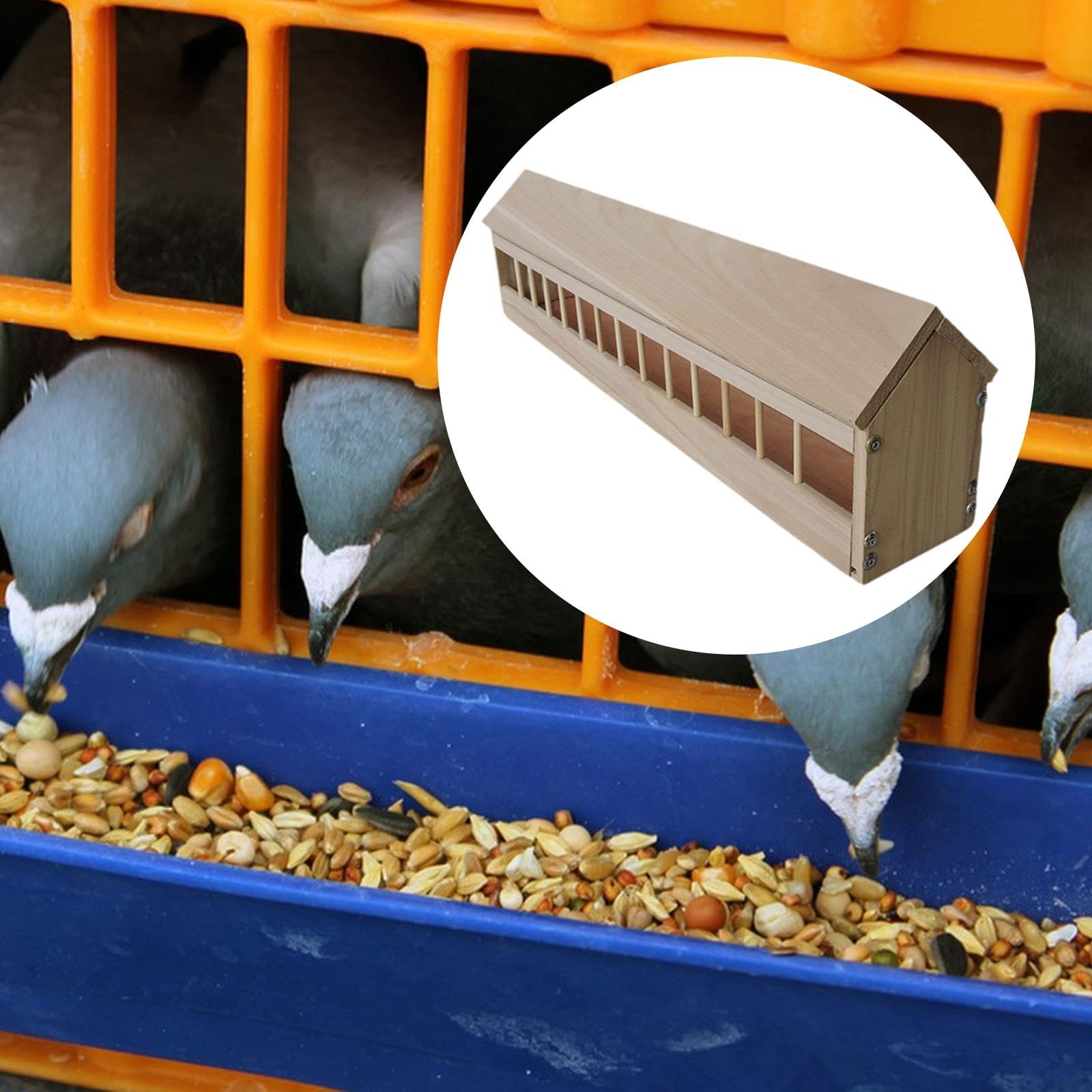 Comedero para Palomas Comedero para Pollos Plato para Aves de Corral Y Alimentador para Codornices de Madera Resistente para Uso Continuo Adecuado Pa, 80cm