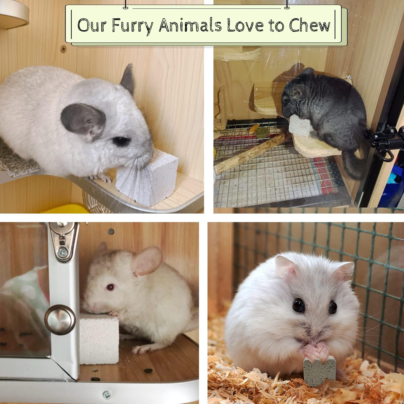 Chinchilla Rabbit Kit Snapklik.com : 20 Pcs Chinchilla Lava Blocks Flower Shape Rabbit Chew ...