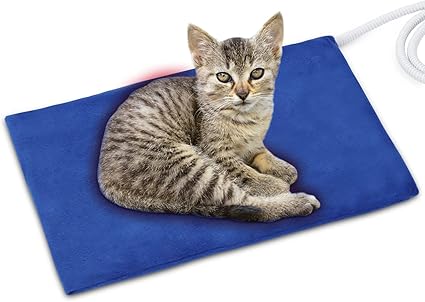 heating pad for cats amazon