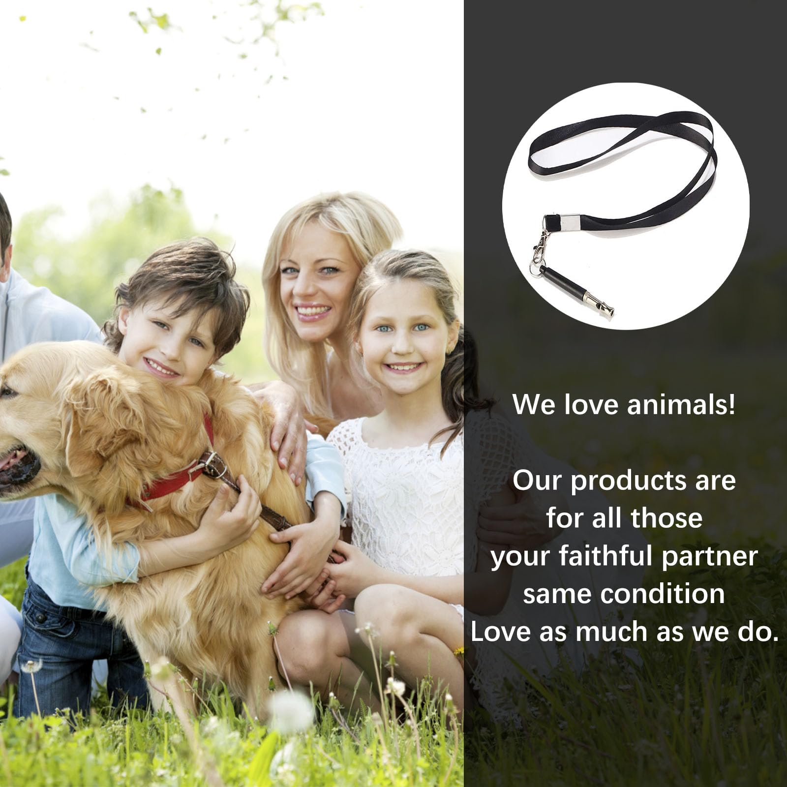 Fischietto Ultrasuoni Per Cani - 2 Pezzi Con Cordino Regolabile Per Addestramento - Foto 5