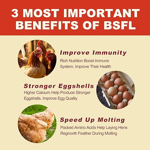 Miniatura 3 de Larvas secas de mosca soldada negra de 11 libras, BSFL es alimento de pollo con alto contenido de proteínas con 85 veces más calcio que los gusanos