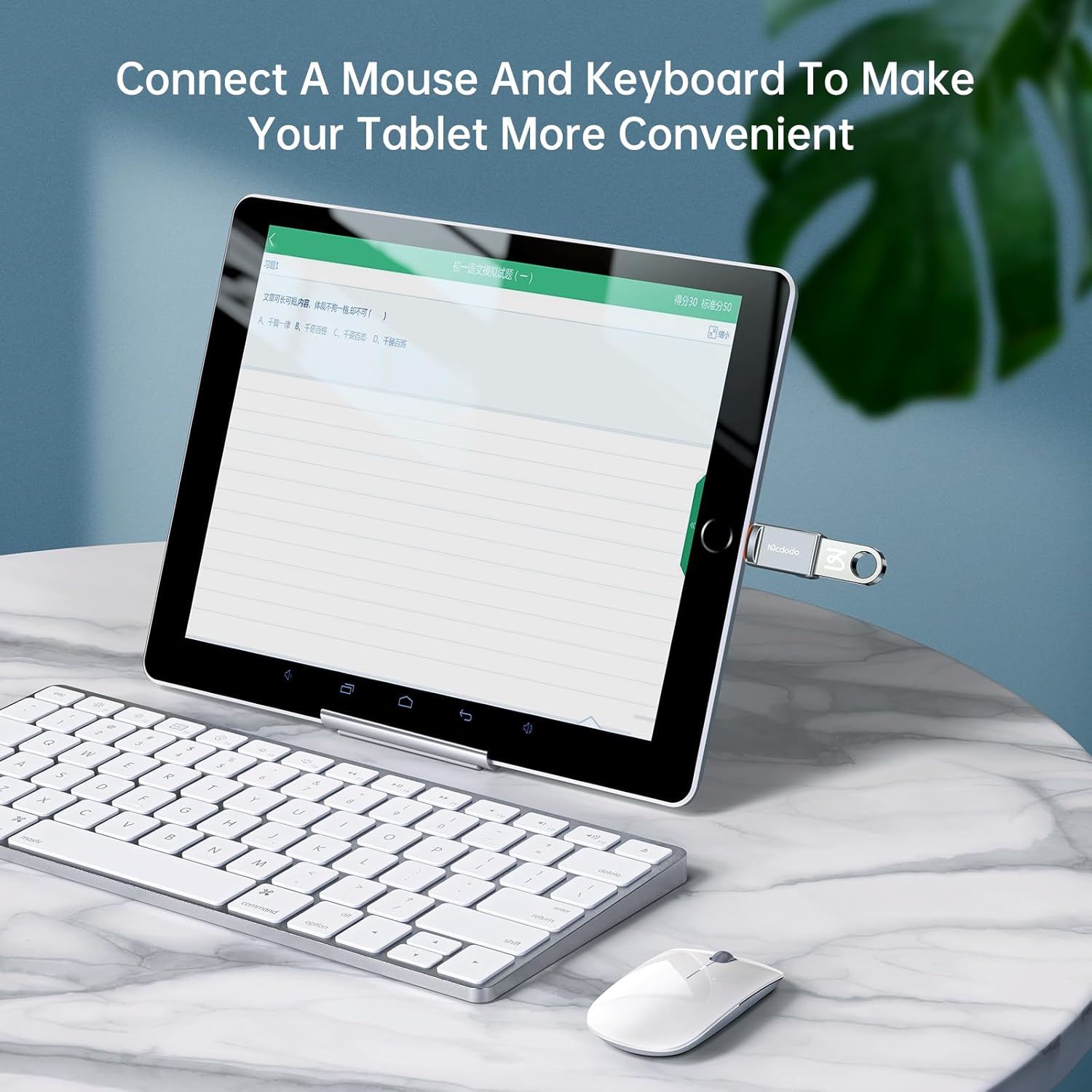 iPad connected to a keyboard and mouse via McDodo OTG adapter