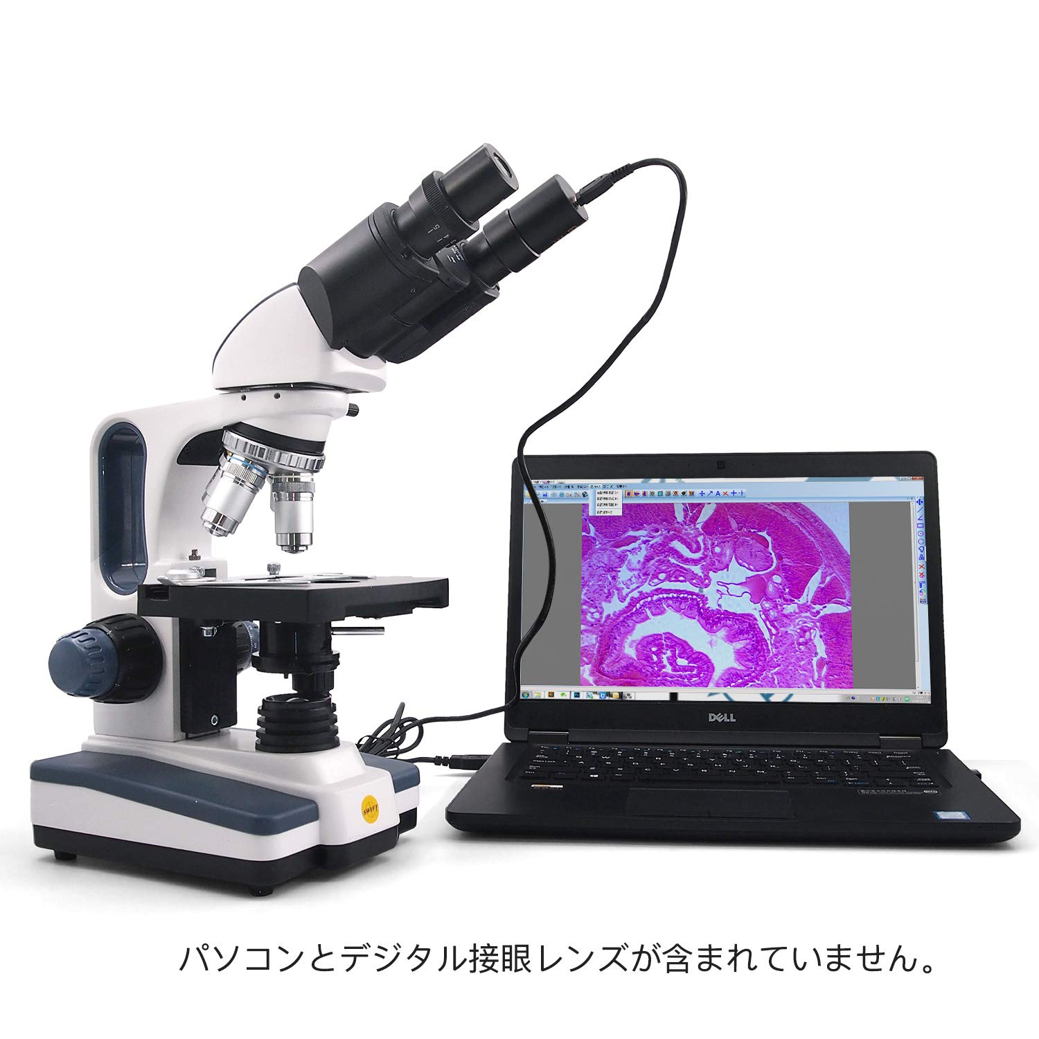 Amazon.co.jp: SWIFT 双眼 両眼タイプ生物顕微鏡 最大2500X拡大 