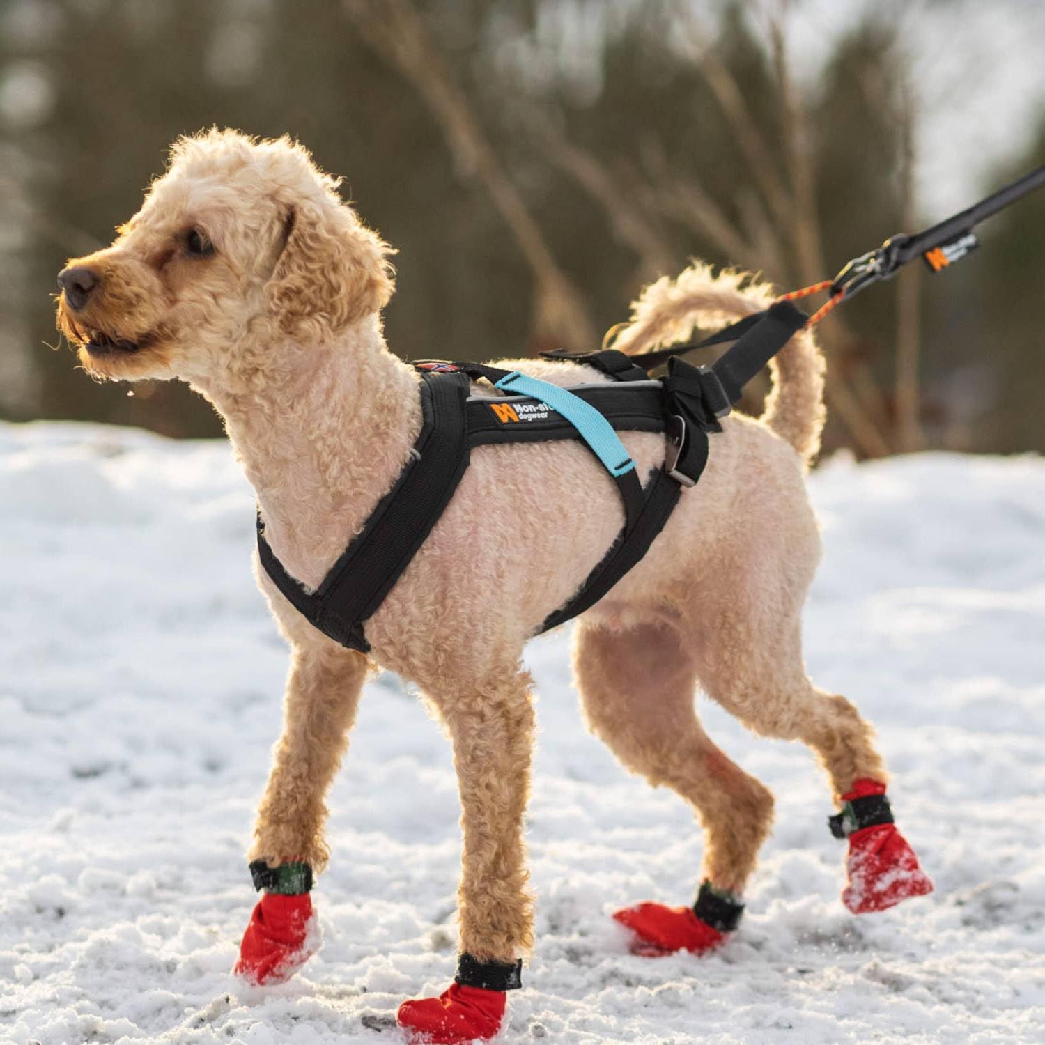Dog Copenhagen Non-Stop Canicross - Arnés de Movimiento Libre, Talla T3