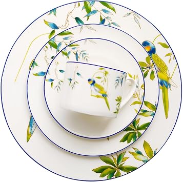 AB Grade Porcelain Plate and Bowl Set, 36 Pieces Fine Bone China Dinnerware Set, For 6 People, Parrot Porcelain Dinner Set