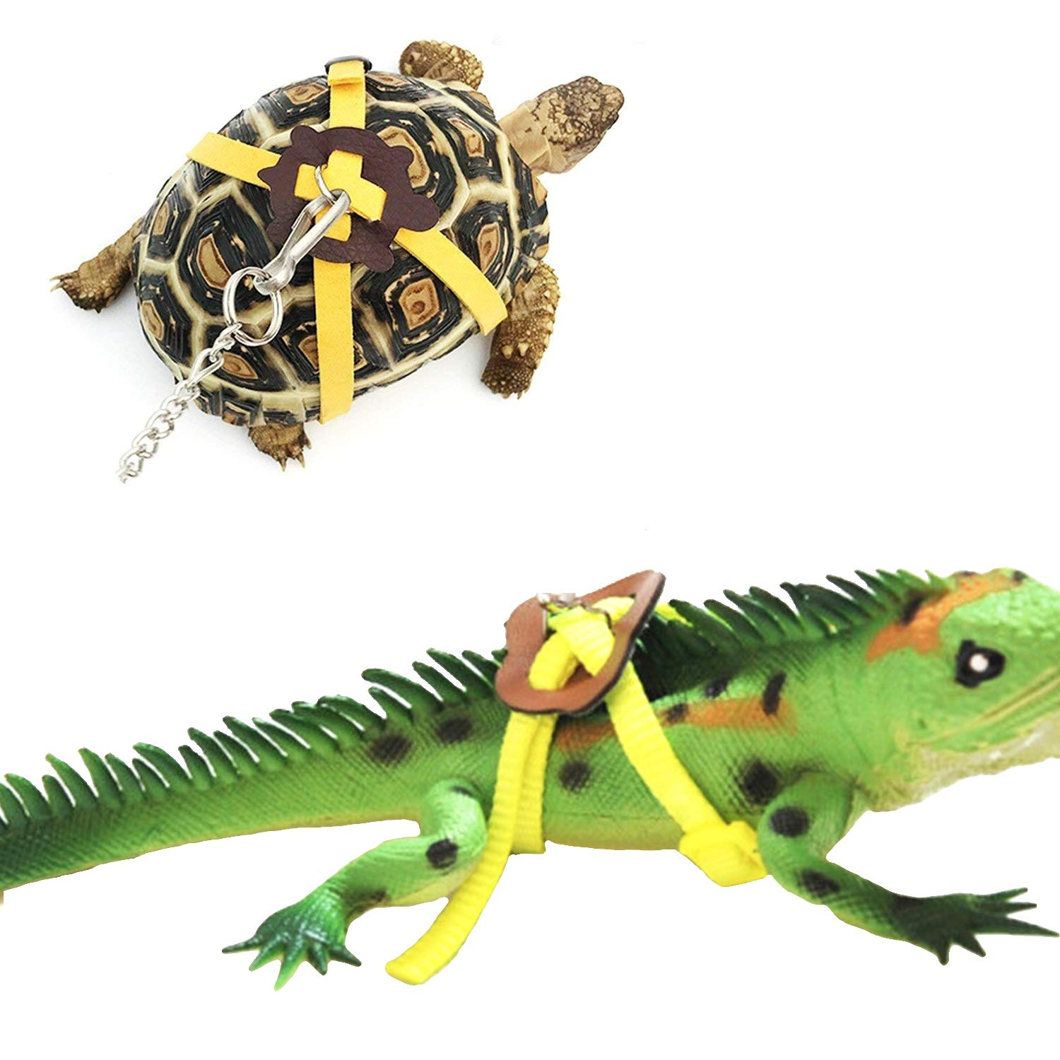 bearded dragon leash amazon