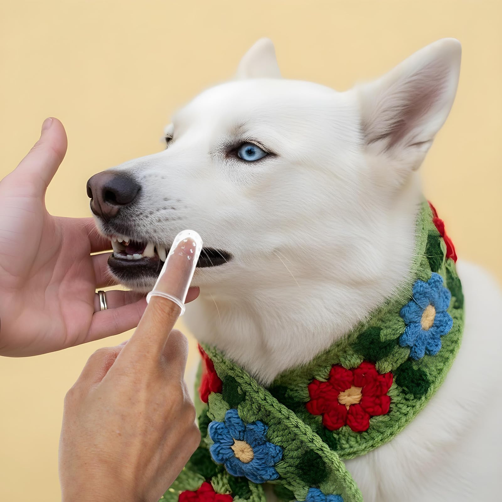 Juego de 10 cepillos de dientes de perro, cepillo de dientes de dedo de perro, cepillos de dientes para cachorros y gatitos con cerdas de silicona, cepillo de limpieza de dientes de gato