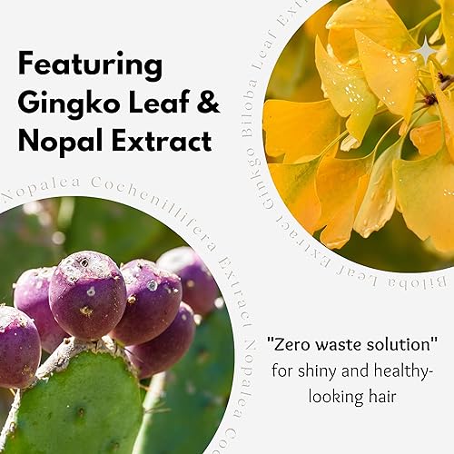 Miniatura 3 de RE: REKURATOR Solución nutritiva con barra acondicionadora – Hidratante y sedosa suave, sin sulfatos, libre de crueldad, 100% vegano, cero residuos,