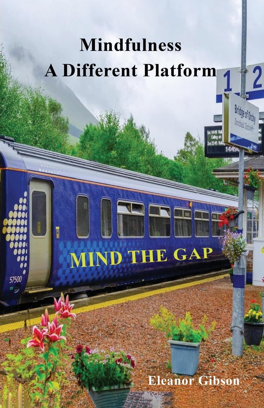 Mindfulness - A Different Platform: Mind the Gap