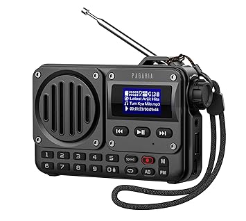 Pagaria Grenade 5 Watts Pocket FM Radio with Bluetooth, Tf Card/USB Speaker LCD Display with Song Name, Folder Selection, Type C Charging, Voice Recording & More, Black