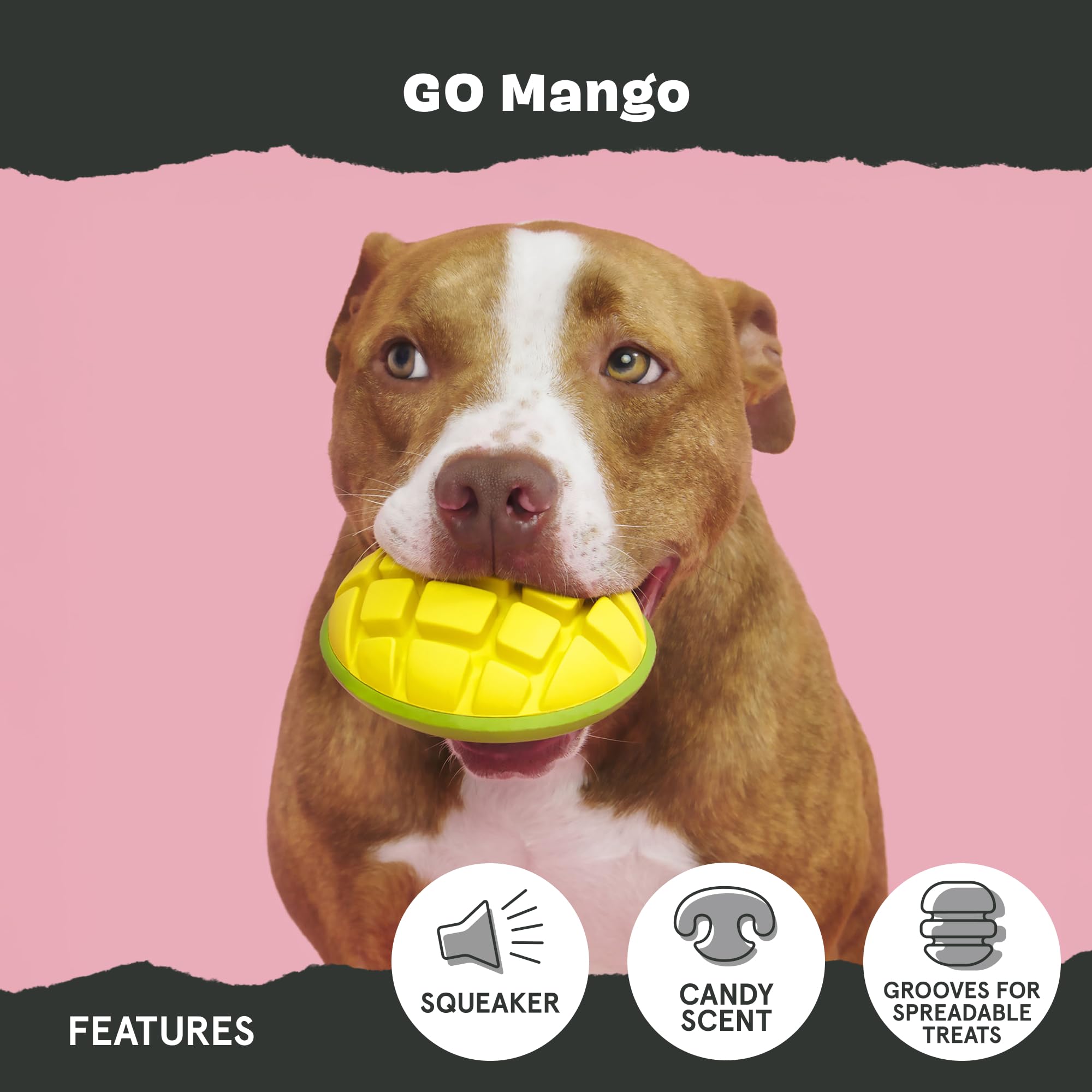 Bark Go Mango Tough Squeaky Rubber Dog Toy for Large Dogs - Candy-Scented, Durable Design for Long-Lasting, Squeaky Fun - Image 4
