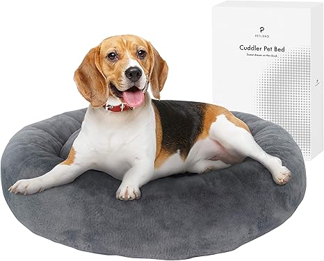 hound dog bed