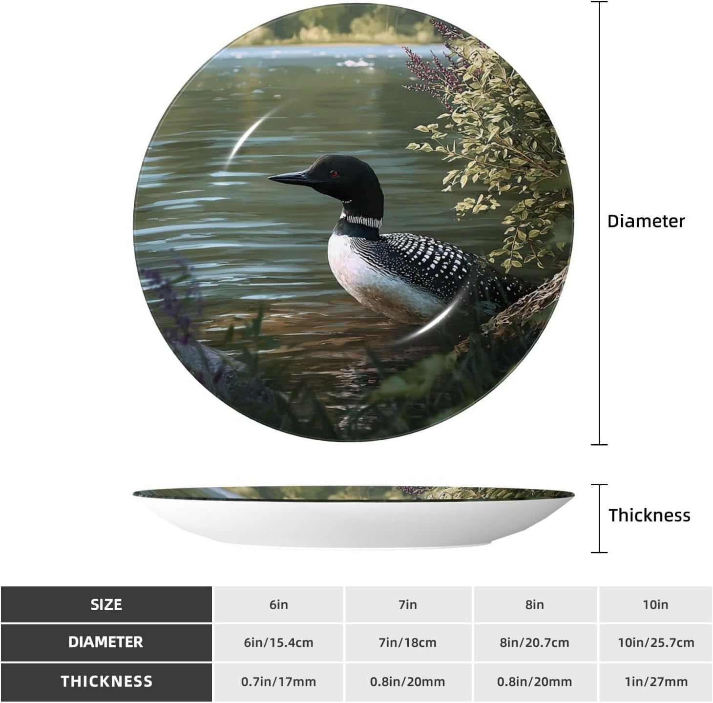 Bone China Decorative Plate 6inï¼ˆ15cmï¼‰ Ceramic Decorative Plates with Display Stand Loon Nature Birds Dinner Plates Art Crafts Round Ceramic Ornaments Art Porcelain Plate for Home Office Wall Decor image 2