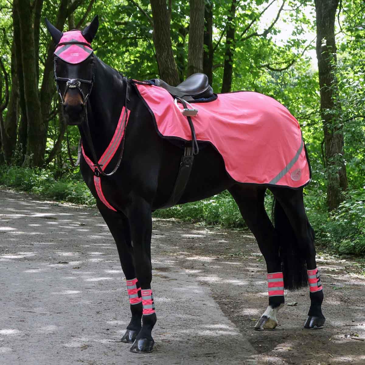 Hi Viz Mesh Exercise Sheet – Lightweight Breathable Reflective Horse Riding Sheet