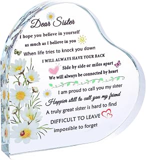 YWHL Meaningful Sister Gifts from Sister Brother Heart Shape Glass Keepsake Birthday Gifts for Sisters To My Sister Present Sister Gifts for Women on Valentine's Day Christmas Mothers Day Wedding