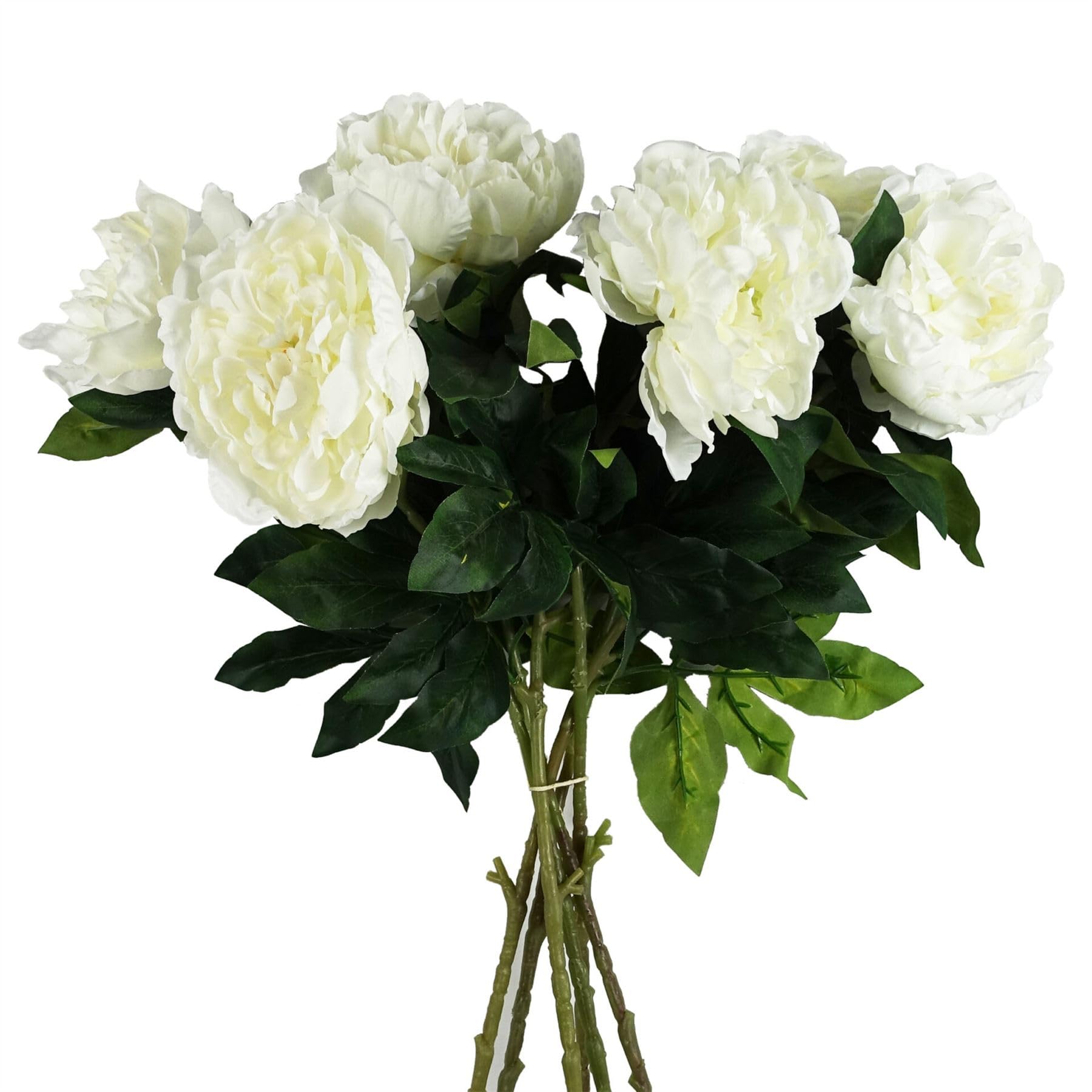 Leaf Design Artificial Flowers, 6 X 80cm White Peony