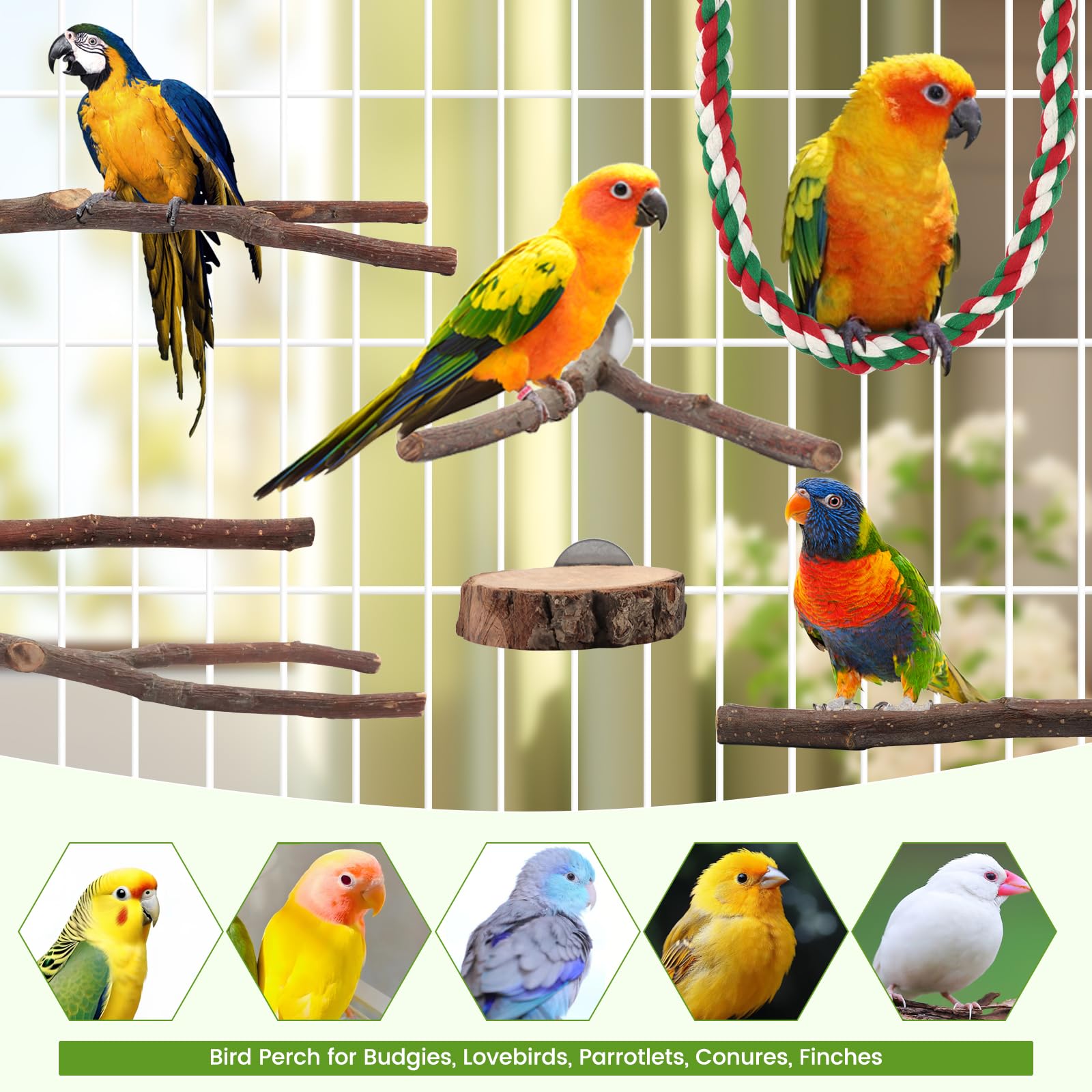 BILLIOTEAM 9PCS Apple Wood Bird Perches, Natural Parrot Stand & Chewing Toy with Multi-Branch, Straight Perch Stand, Platform & Climbing Rope, Cage Accessories for Parakeets, Cockatiels, Budgies - image 7