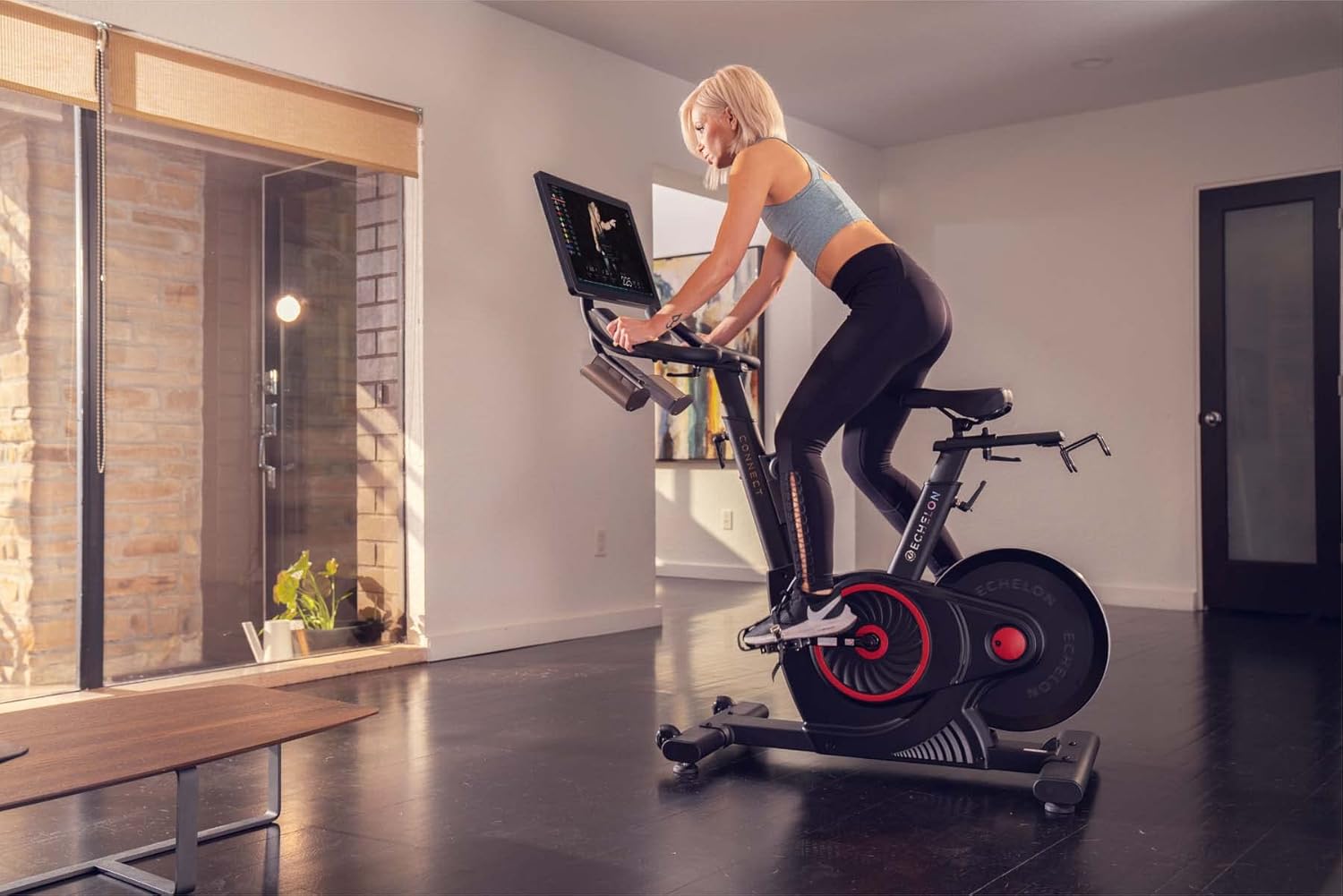 Echelon Smart Fitness Bike