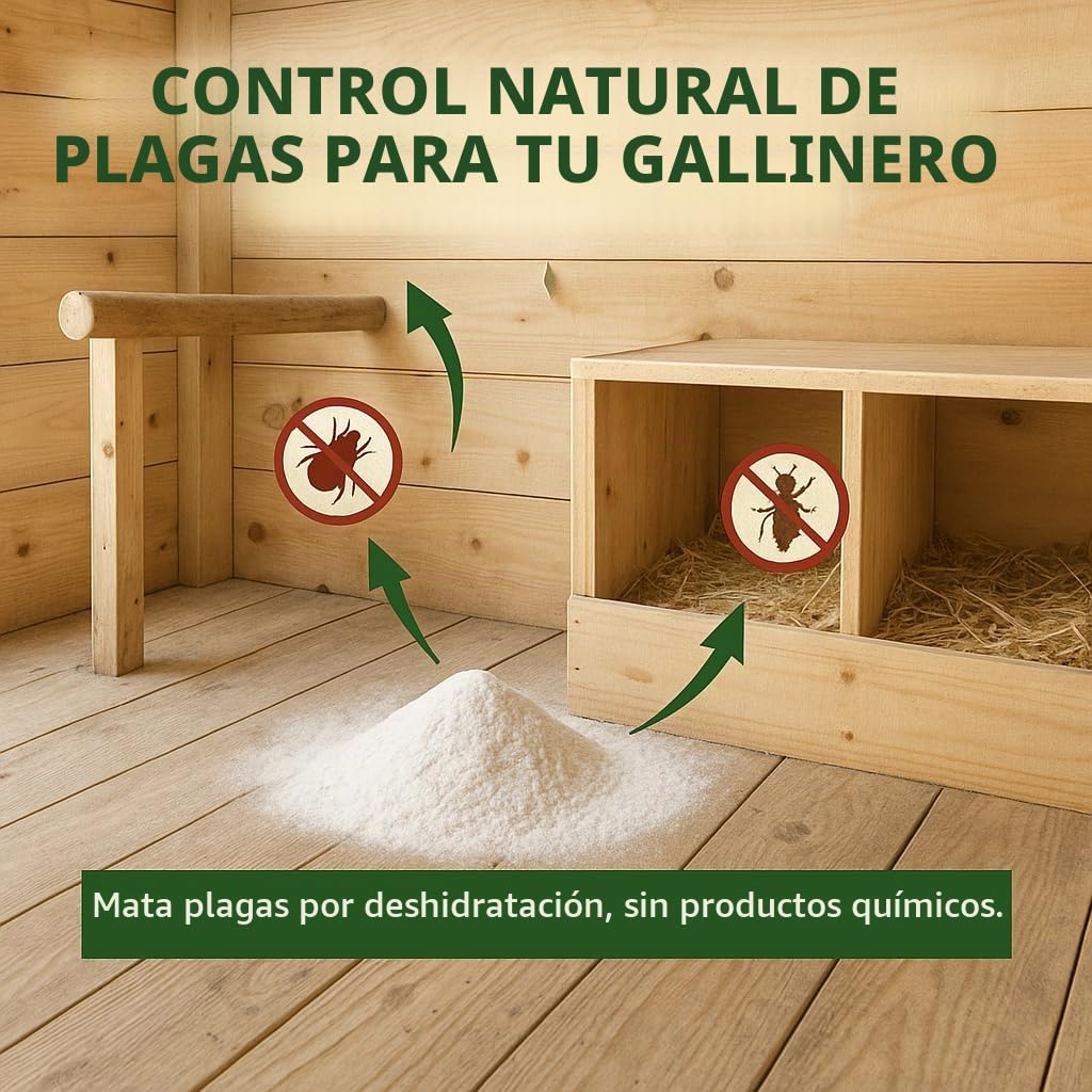 GiDeli Kieselgur 30kg - Tierra de diatomeas para proteger a las gallinas de los parásitos - Polvo de silicato con múltiples posibilidades de aplicación - Polvo natural sin aditivos artificiales